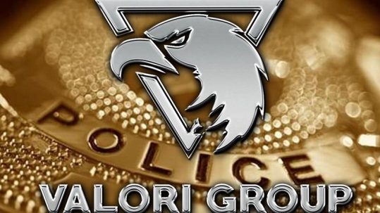 Valori Group Law enforcement consulting