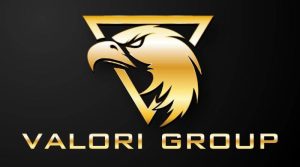 Valor_Groupi_logo